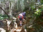 Higgs Track up to Lady Lake Hut