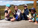 Lady Lake verandah view